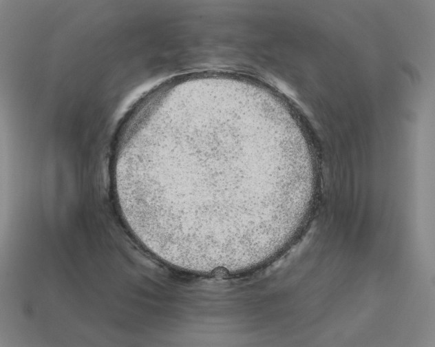 X0000113241214200910221053