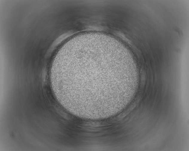 X0000113241215200910221053