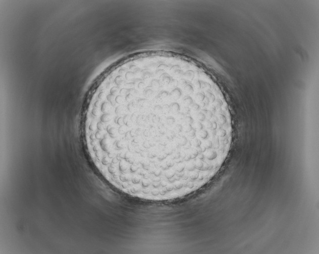 X0000113241216200910221053