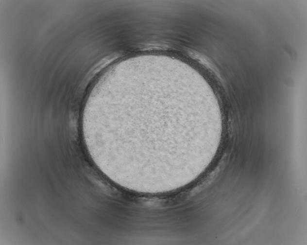 X0000113241217200910221053