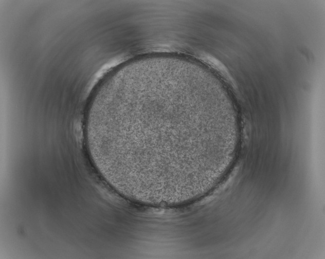 X0000113241218200910221053