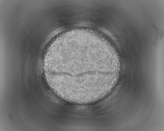 X0000113241219200910221053