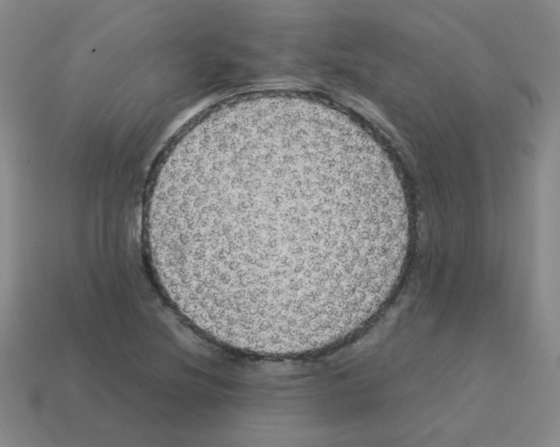 X0000113241220200910221053