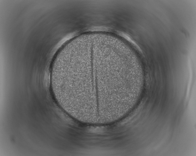 X0000113241221200910221053