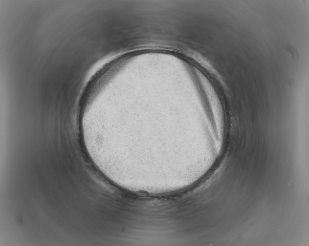 X0000113241222200910221053
