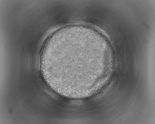 X0000113241223200910221053