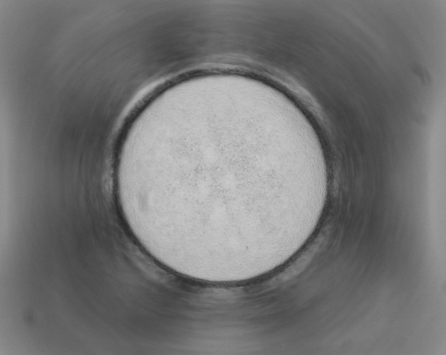 X0000113241224200910221053