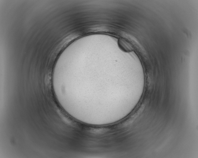 X0000113241225200910221053