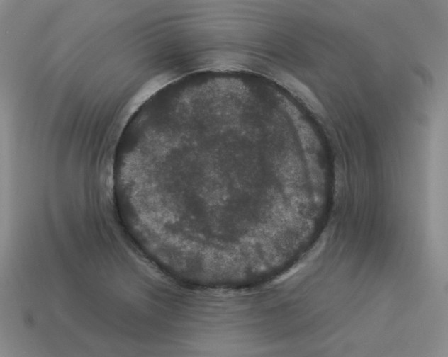 X0000113241226200910221053