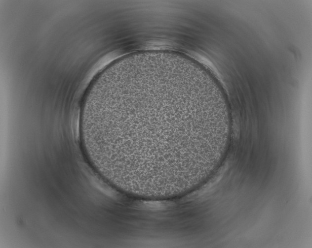 X0000113241227200910221053