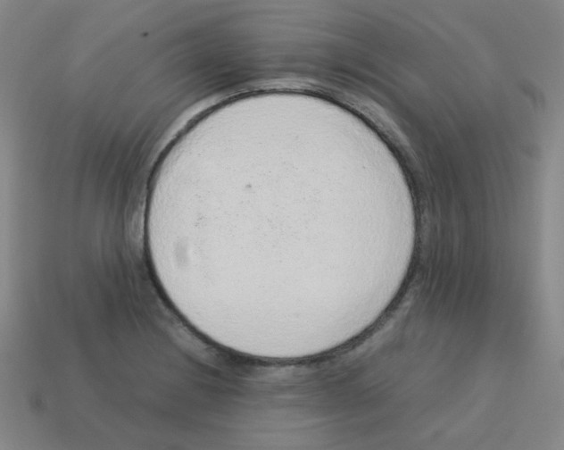 X0000113241228200910221053
