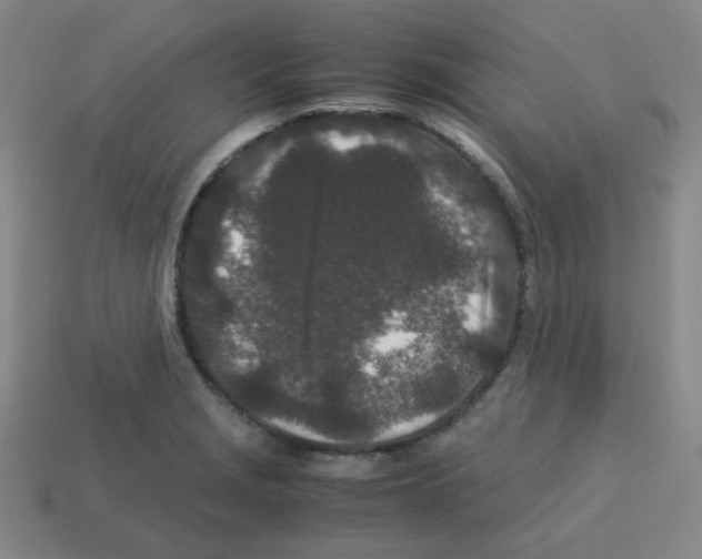 X0000113241229200910221053
