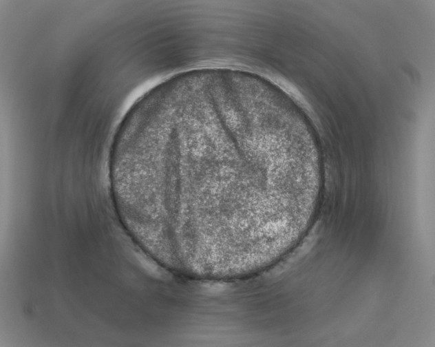 X0000113241230200910221054