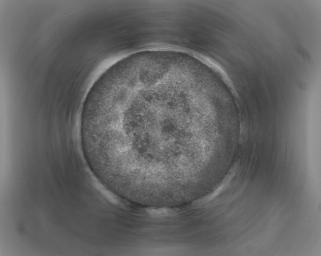 X0000113241231200910221054
