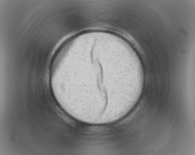 X0000113241232200910221054