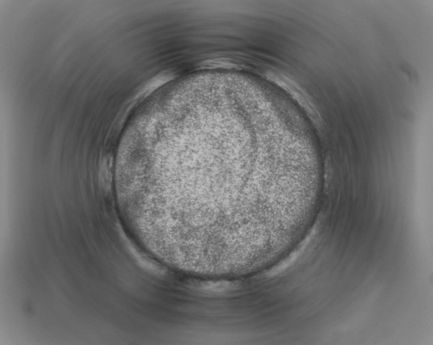 X0000113241233200910221054