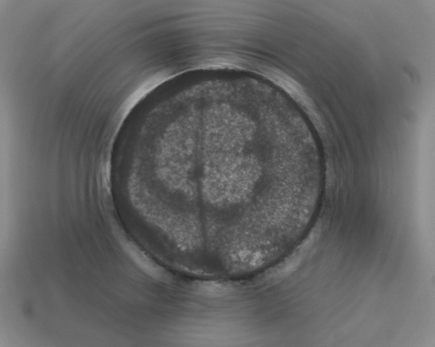 X0000113241234200910221054
