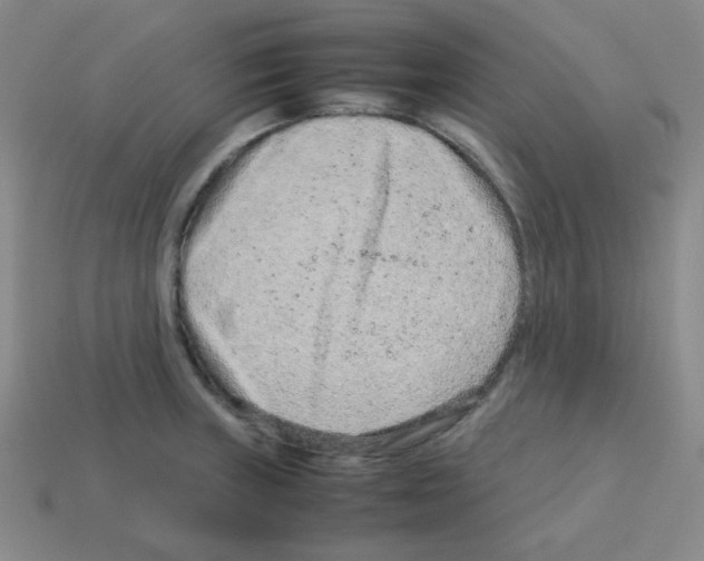 X0000113241235200910221054