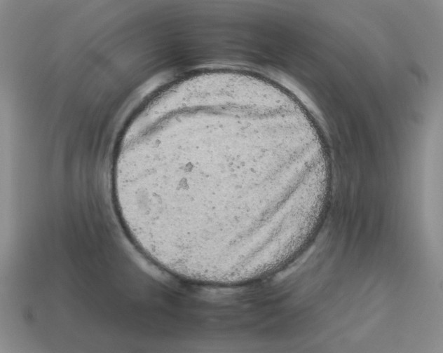 X0000113241237200910221054
