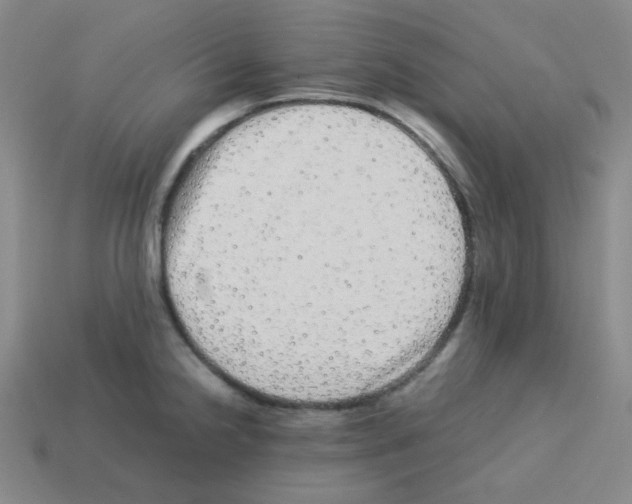 X0000113241238200910221054