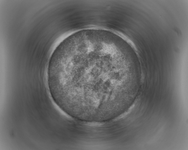 X0000113241239200910221054