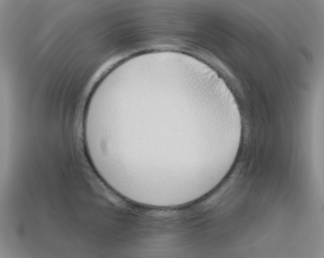 X0000113241240200910221054