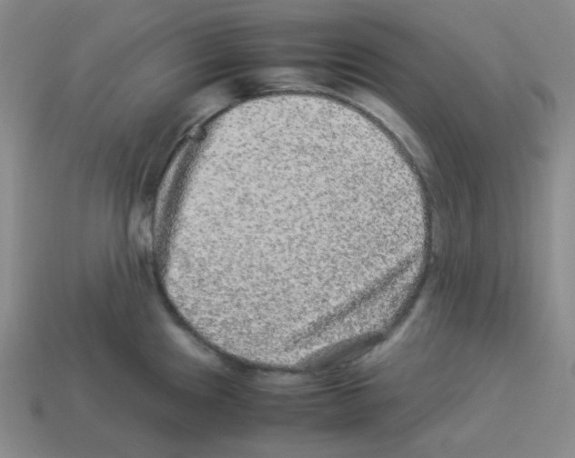 X0000113241241200910221054