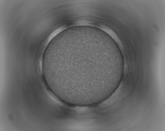 X0000113241242200910221054