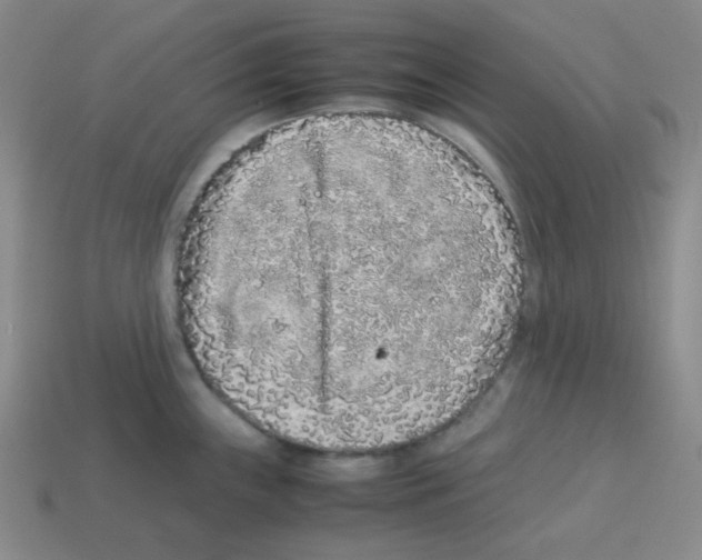 X0000113241243200910221054