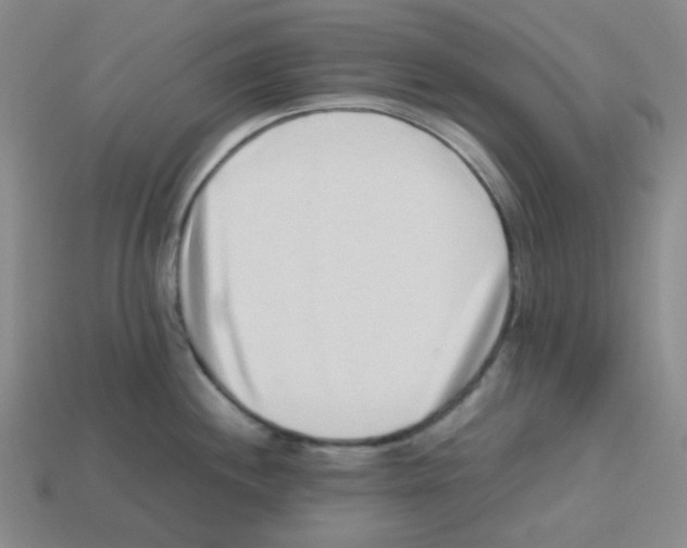 X0000113241244200910221054