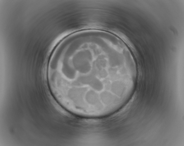X0000113241246200910221054