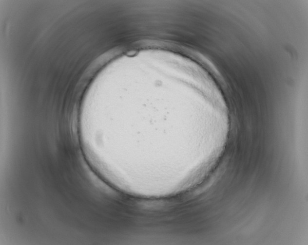 X0000113241247200910221054