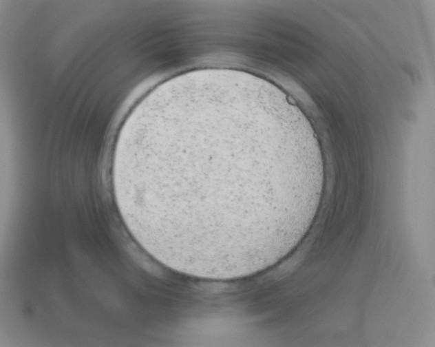 X0000113241248200910221054