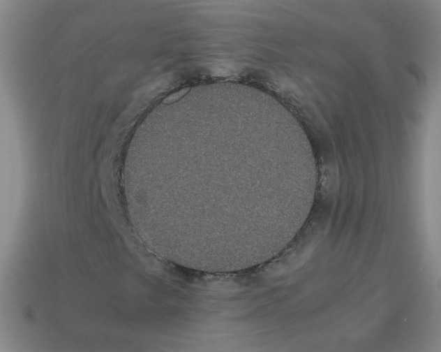 X0000113241249200910221053