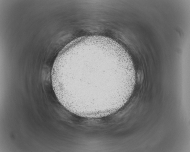 X0000113241251200910221053