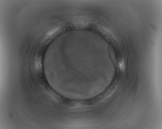 X0000113241252200910221053