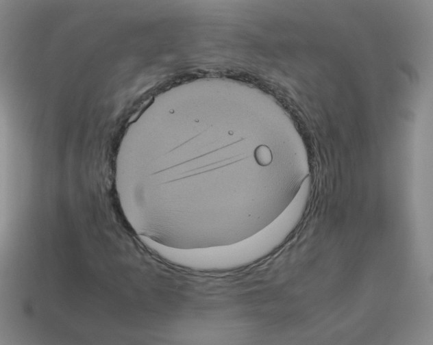 X0000113241253200910221053