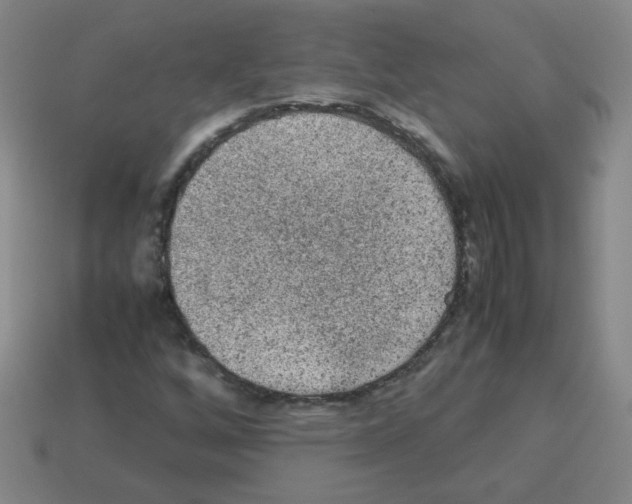 X0000113241256200910221053