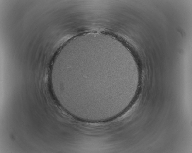 X0000113241257200910221053