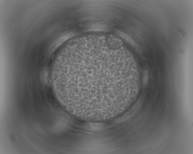 X0000113241258200910221053