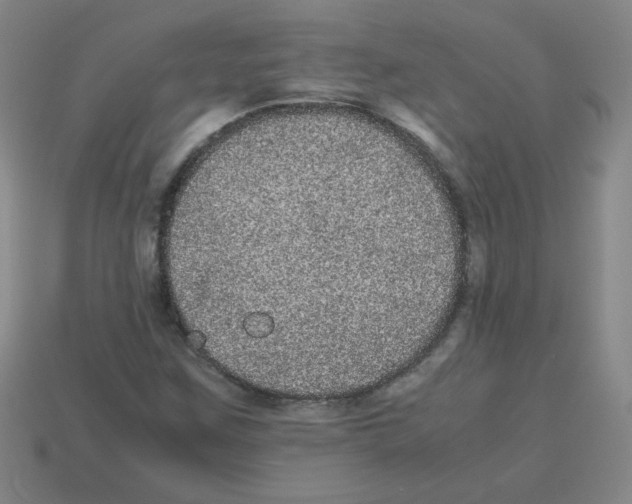 X0000113241259200910221053