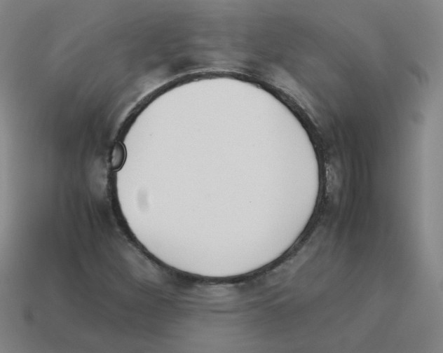 X0000113241260200910221053