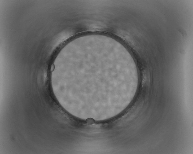 X0000113241261200910221053