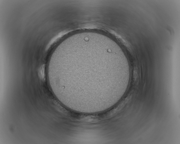 X0000113241262200910221053