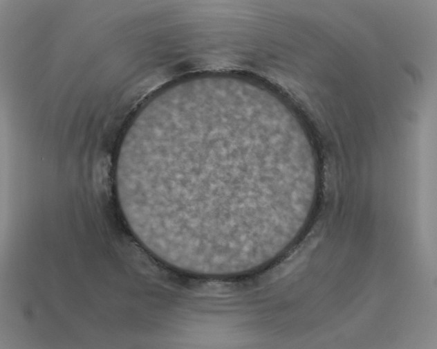 X0000113241265200910221053