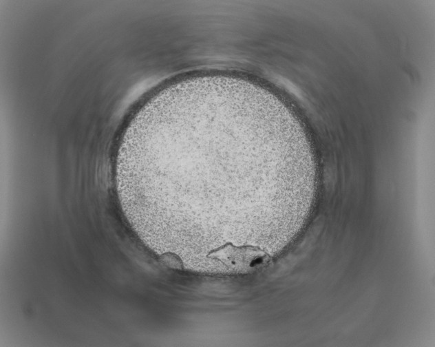 X0000113241267200910221053
