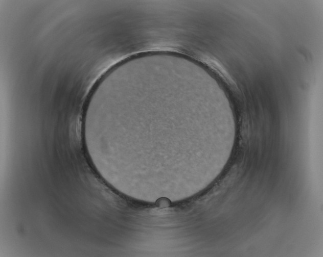 X0000113241268200910221053