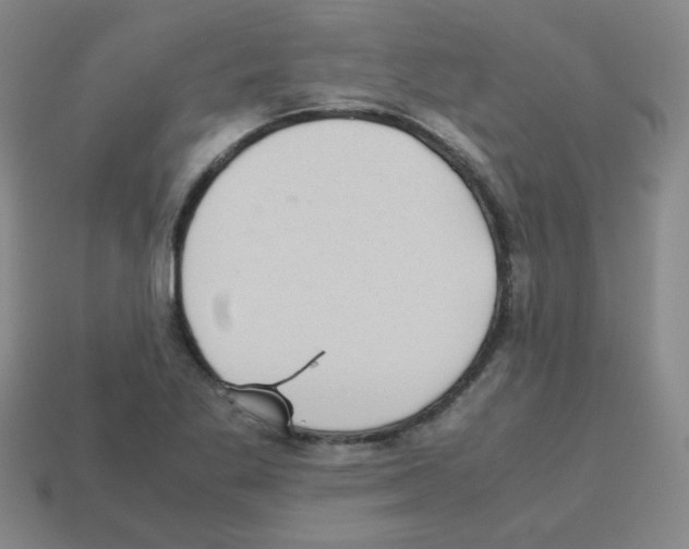X0000113241269200910221053