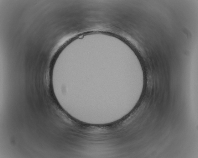 X0000113241270200910221053