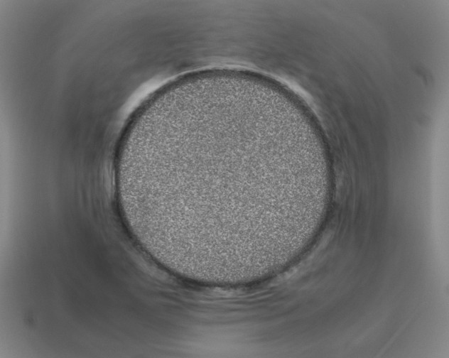 X0000113241271200910221053